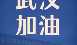 武汉防疫大爆料视频播放,揭秘疫情背后的真相与挑战